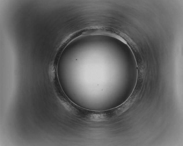 X0000113560160200909181226