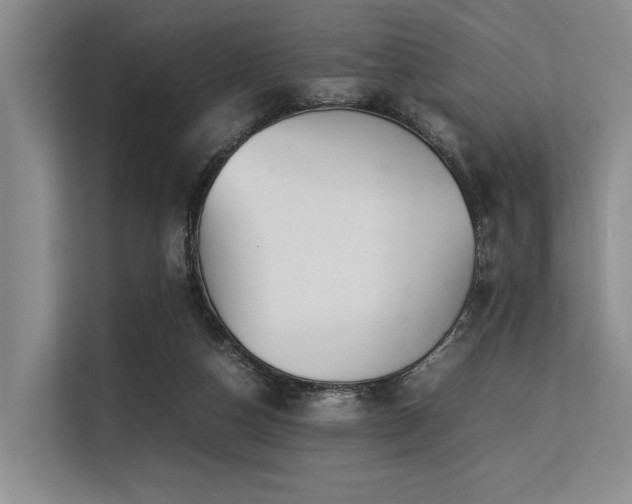 X0000113560162200909181226