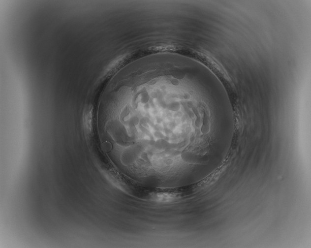 X0000113560163200909181226