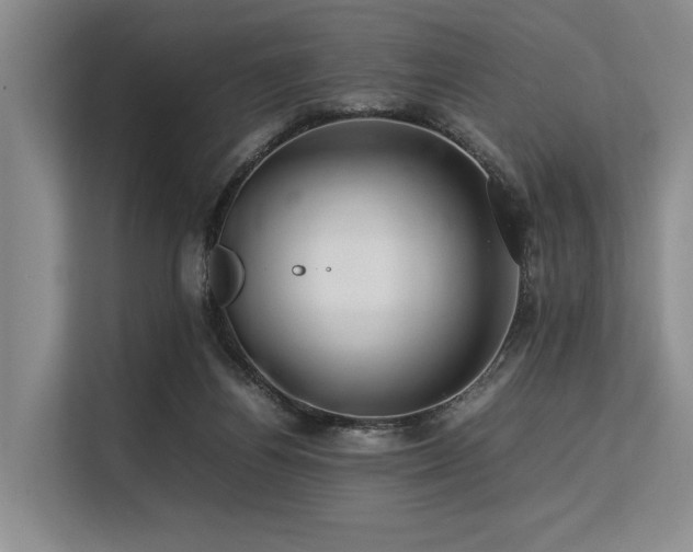 X0000113560164200909181226