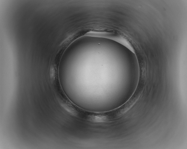 X0000113560165200909181226