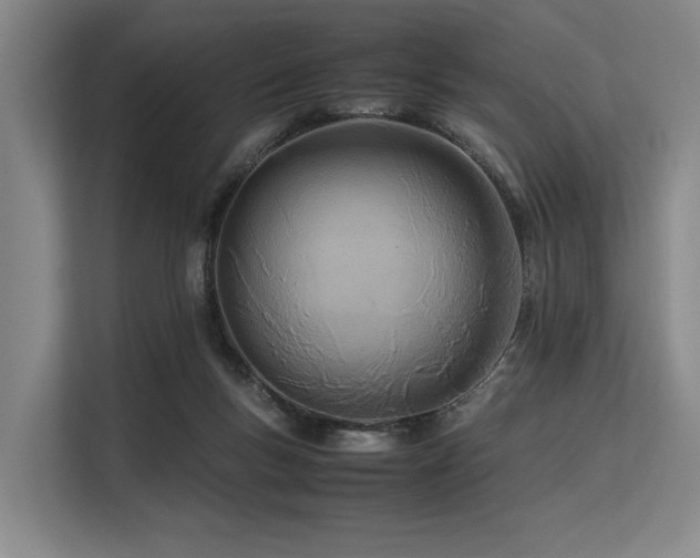 X0000113560167200909181226