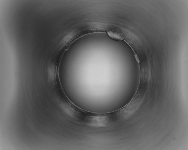 X0000113560168200909181226