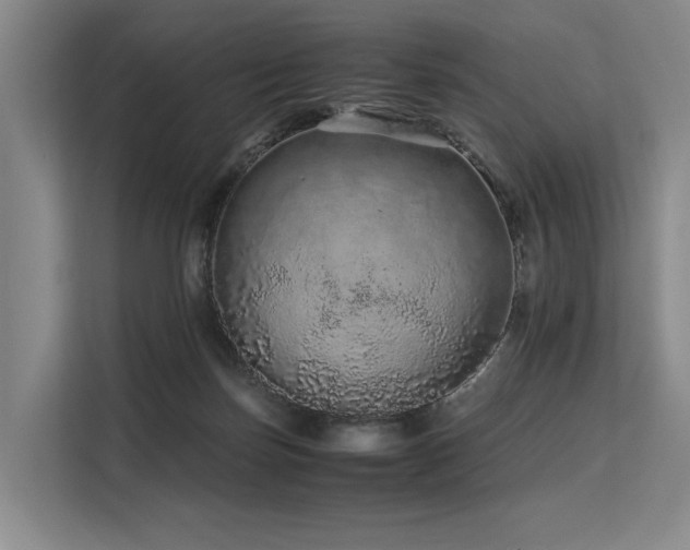 X0000113560171200909181227