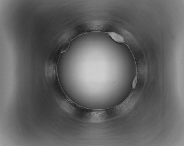 X0000113560172200909181227