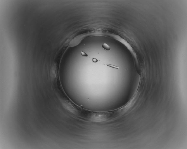 X0000113560174200909181227
