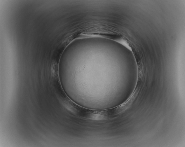 X0000113560175200909181227