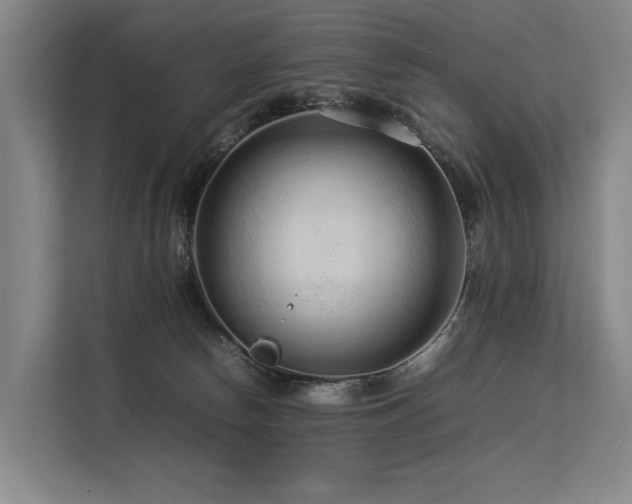 X0000113560178200909181227