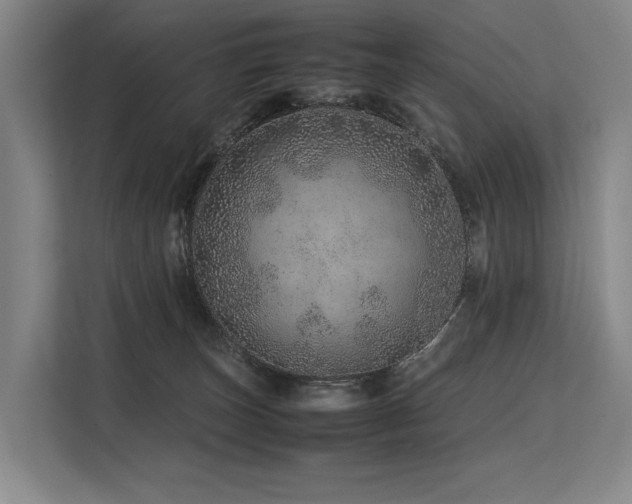 X0000113560179200909181227