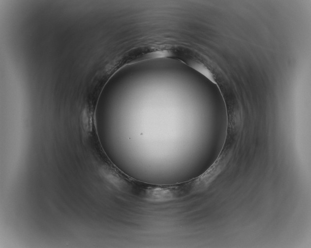 X0000113560180200909181227