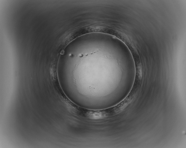 X0000113560181200909181227