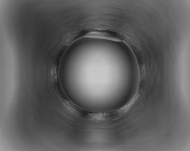 X0000113560182200909181227