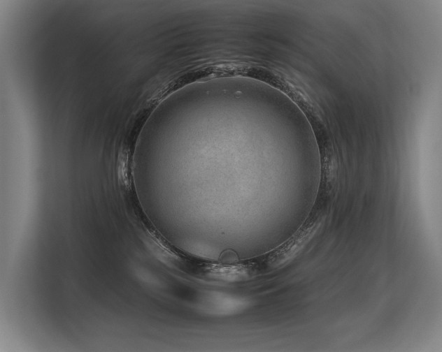 X0000113560185200909181227