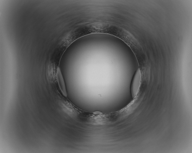 X0000113560186200909181227