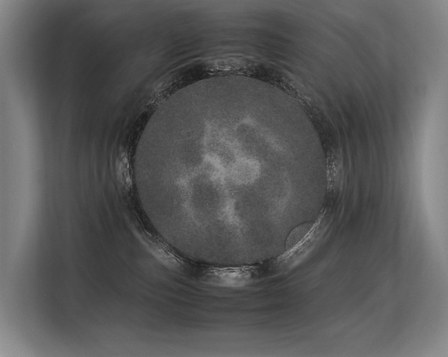 X0000113560187200909181227