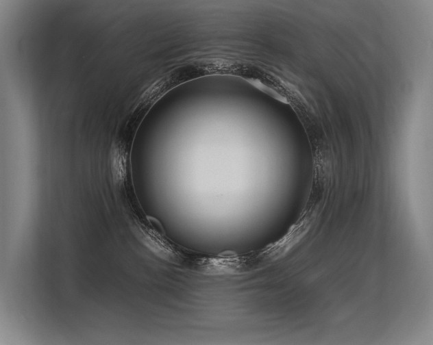 X0000113560188200909181227
