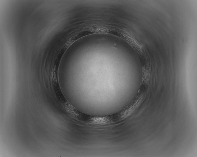 X0000113560189200909181227