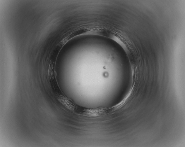 X0000113560190200909181227