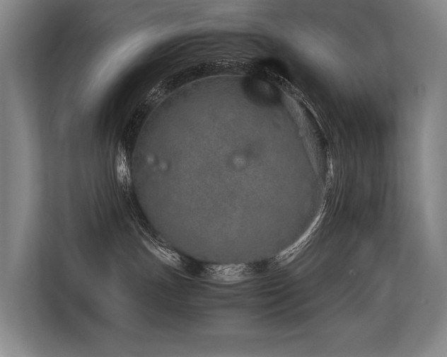 X0000113560191200909181227