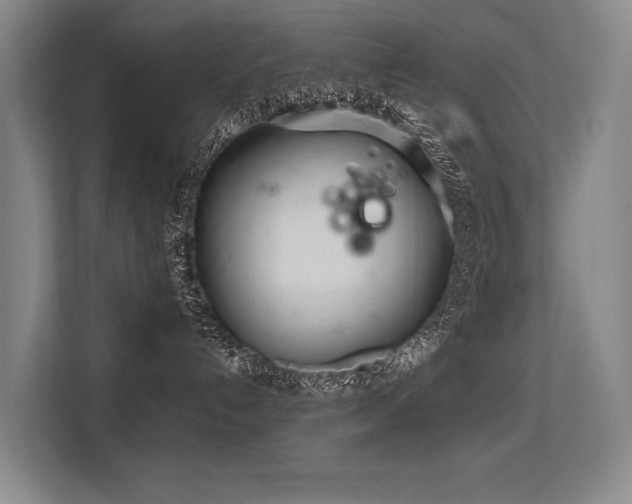 X0000113560192200909181227