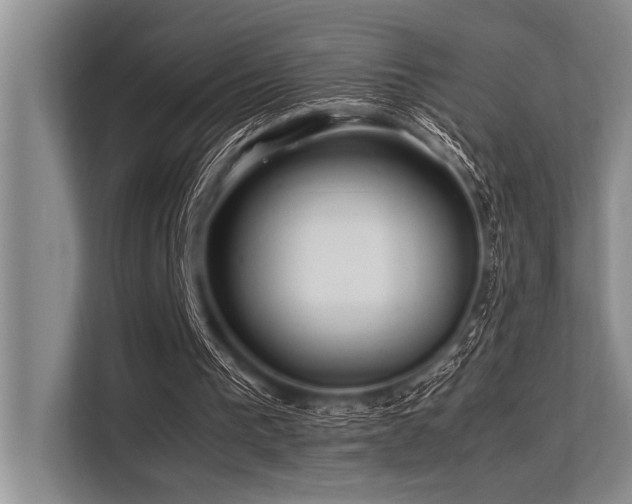 X0000113560193200909181226