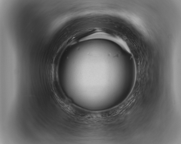 X0000113560194200909181226