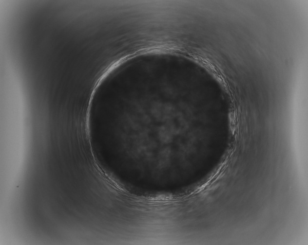 X0000113560196200909181226