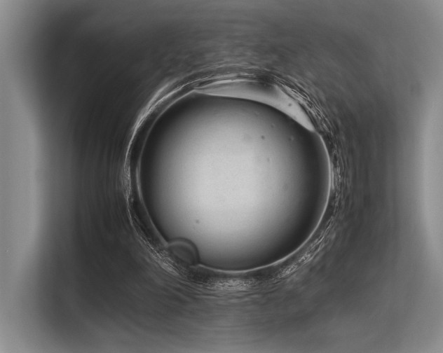 X0000113560198200909181226