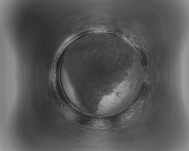 X0000113560199200909181226