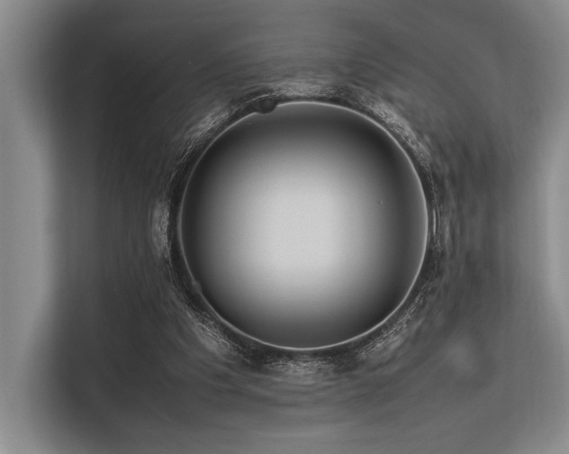 X0000113560201200909181226