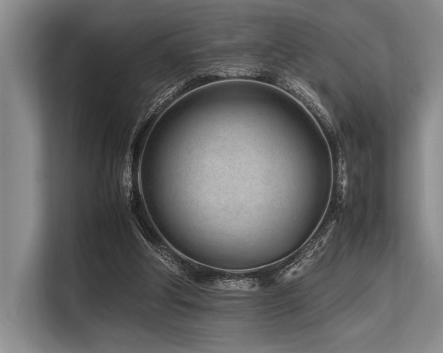 X0000113560202200909181226