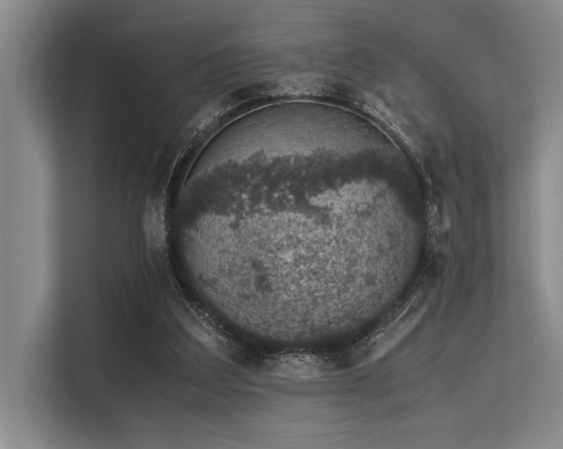 X0000113560203200909181226