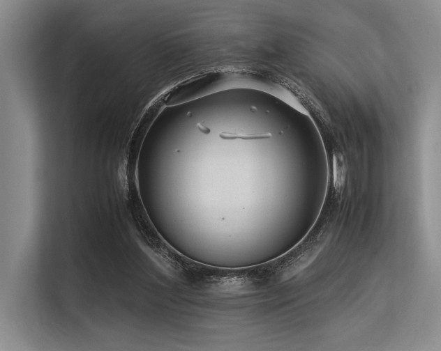 X0000113560204200909181226