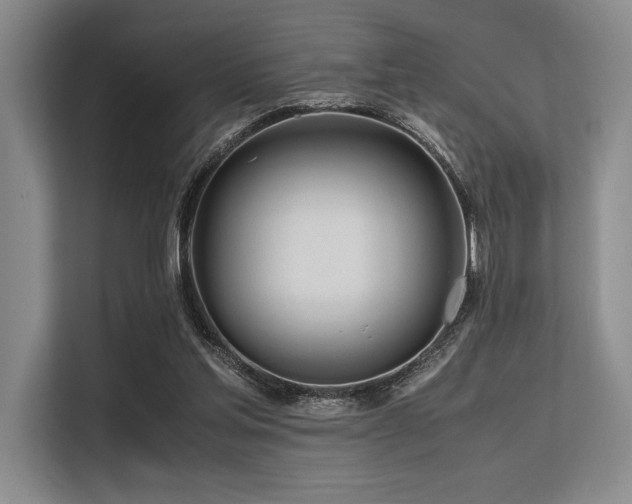 X0000113560205200909181226
