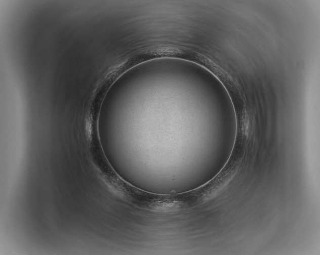 X0000113560206200909181226