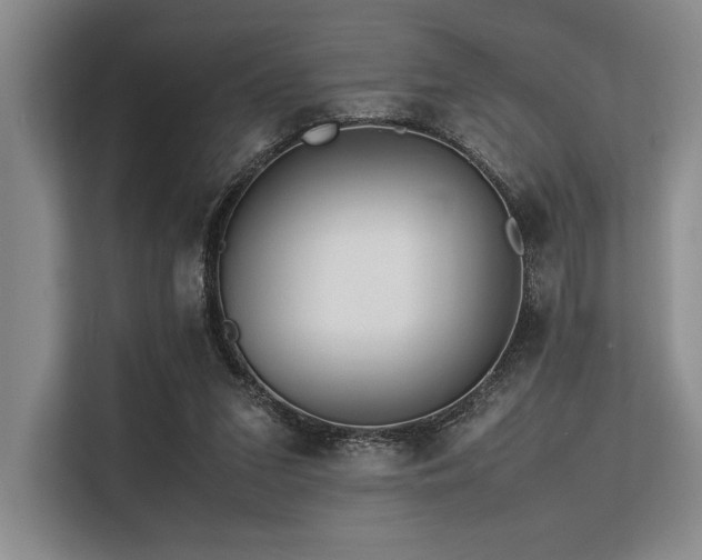 X0000113560207200909181226