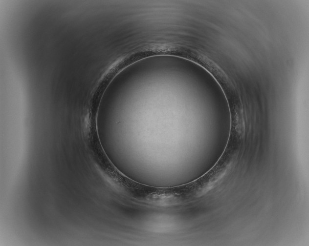 X0000113560208200909181226