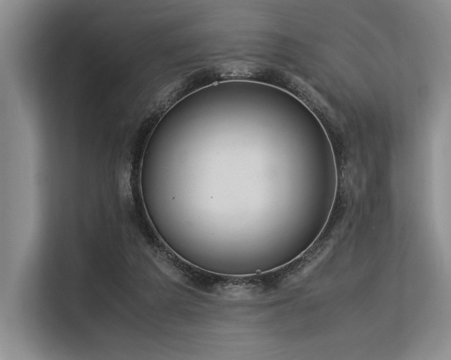 X0000113560209200909181226