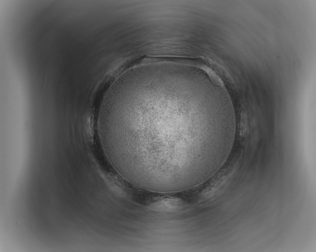 X0000113560210200909181226