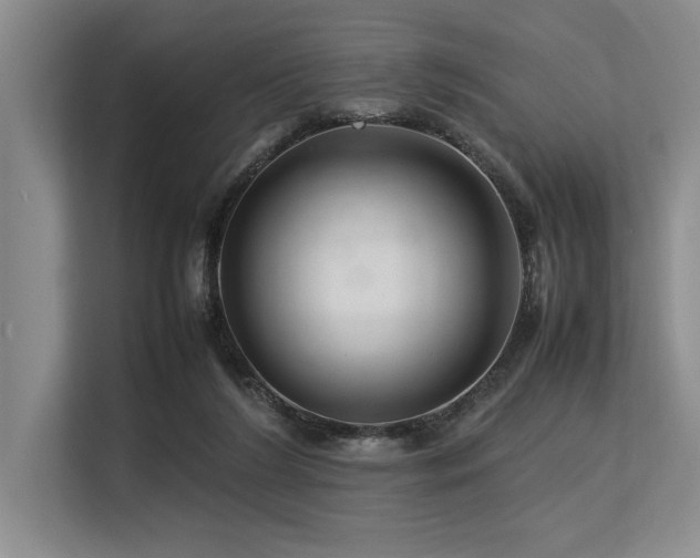 X0000113560212200909181226