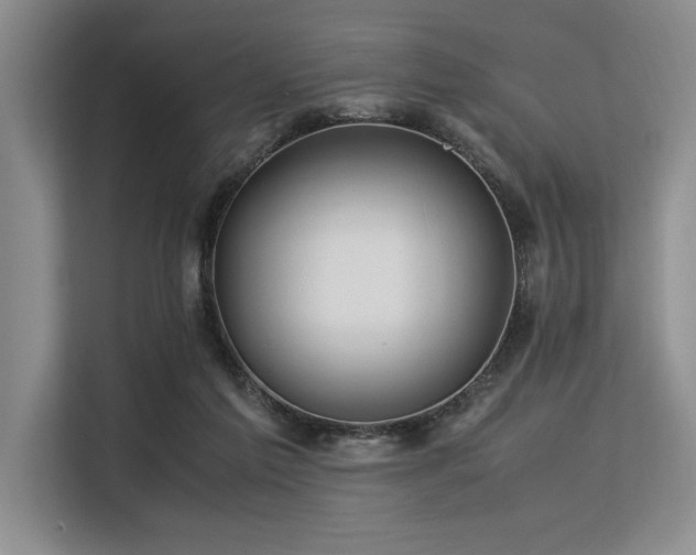 X0000113560213200909181226