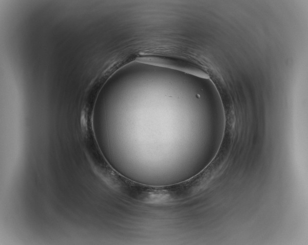 X0000113560214200909181226