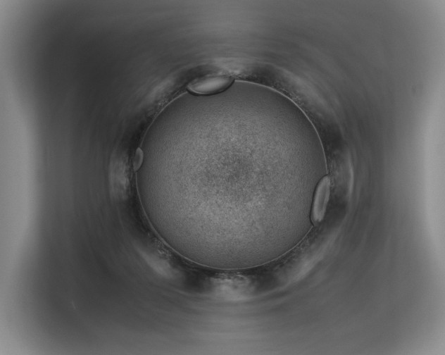 X0000113560215200909181226