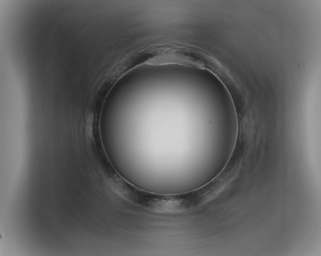 X0000113560217200909181226