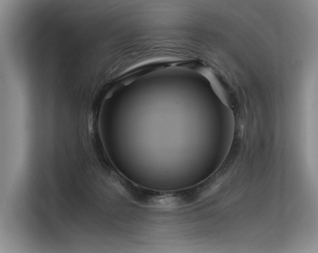 X0000113560219200909181226