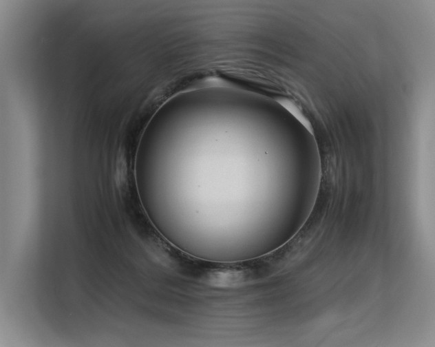 X0000113560220200909181226