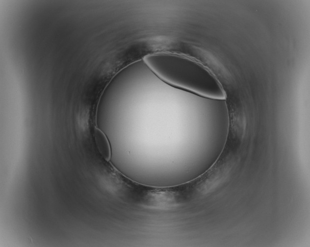 X0000113560221200909181226