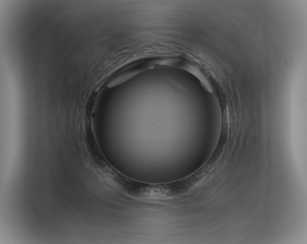 X0000113560223200909181226