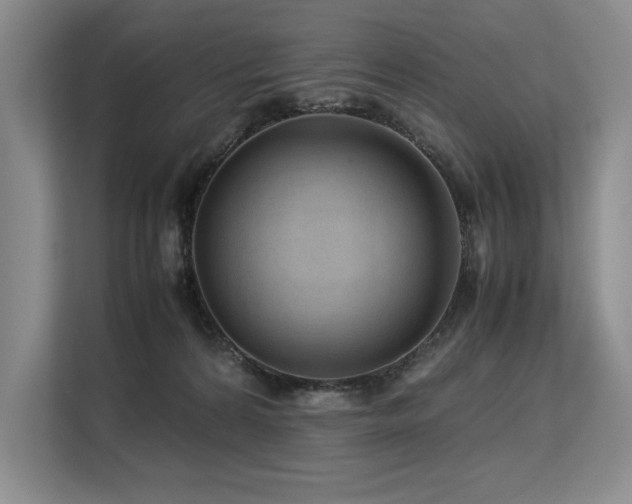 X0000113560224200909181226