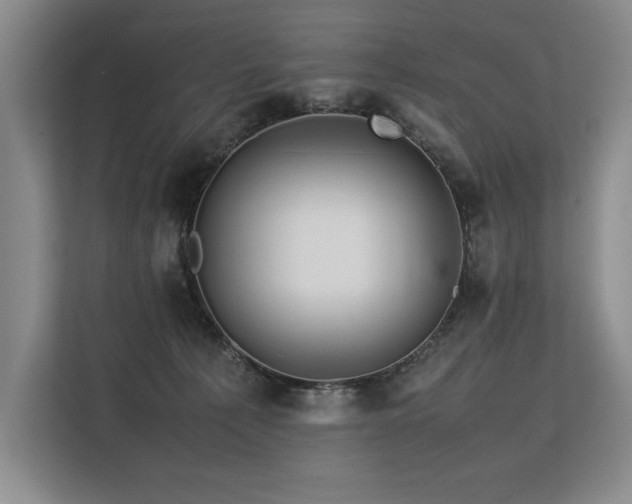 X0000113560225200909181226